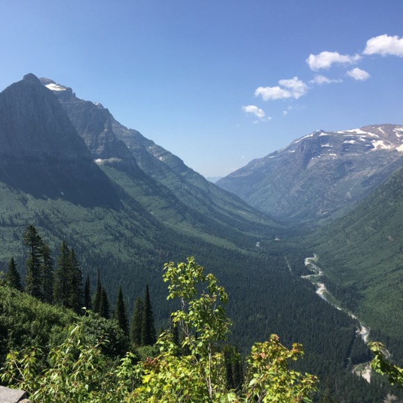 Meet your Posher, Sarah ann - Picture 1 of 1